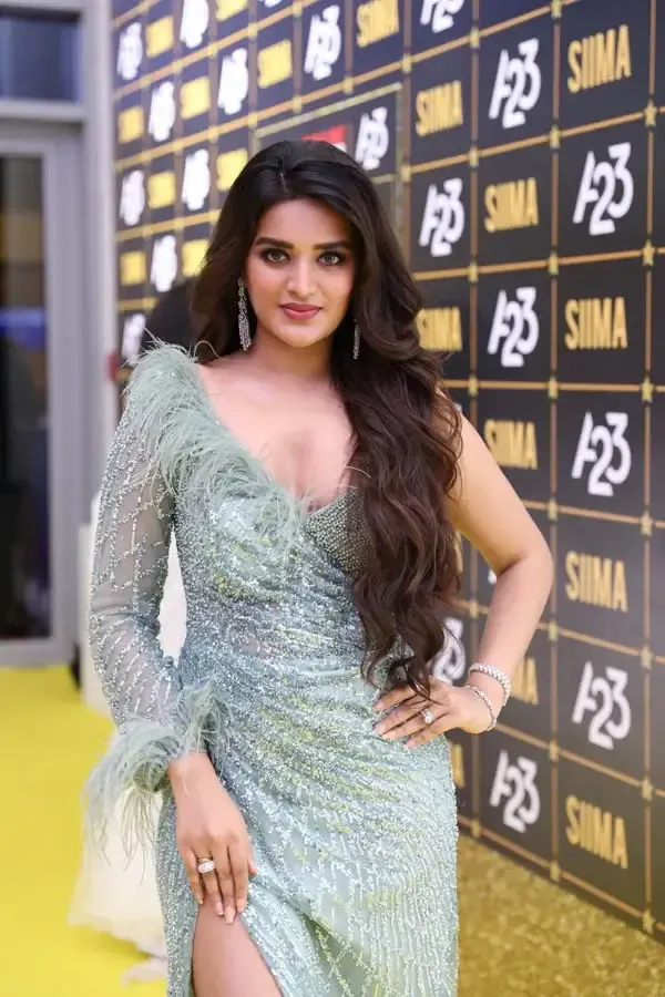 Indian Actress Nidhi Agarwal Images at Siima awards 2023